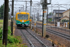雨の日のカボチャ君、後ろ姿