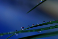 雫