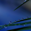 雫