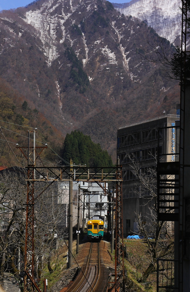 カボチャ電車君