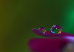 虹色雫