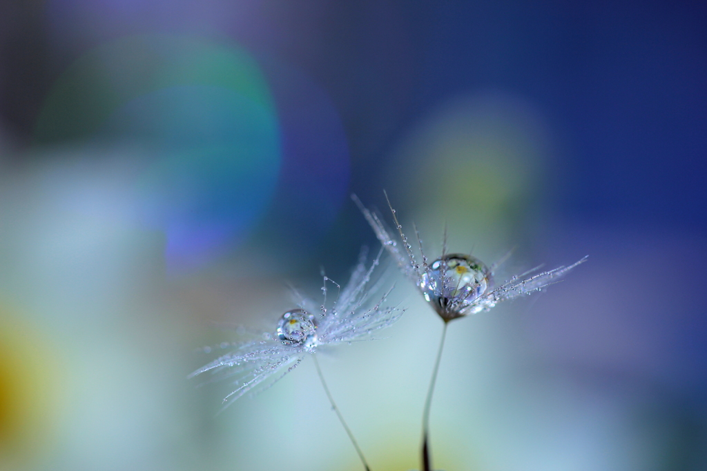 いつも何度でも♫