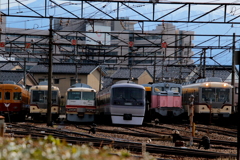 ダイコン君～到着！
