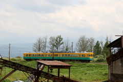 かぼちゃ君が走るよ～♪