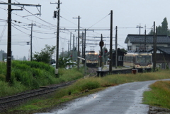 雨の日のWダイコン君～♪　すれ違い・・・・