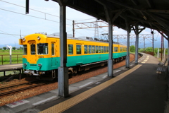 カボチャ電車君