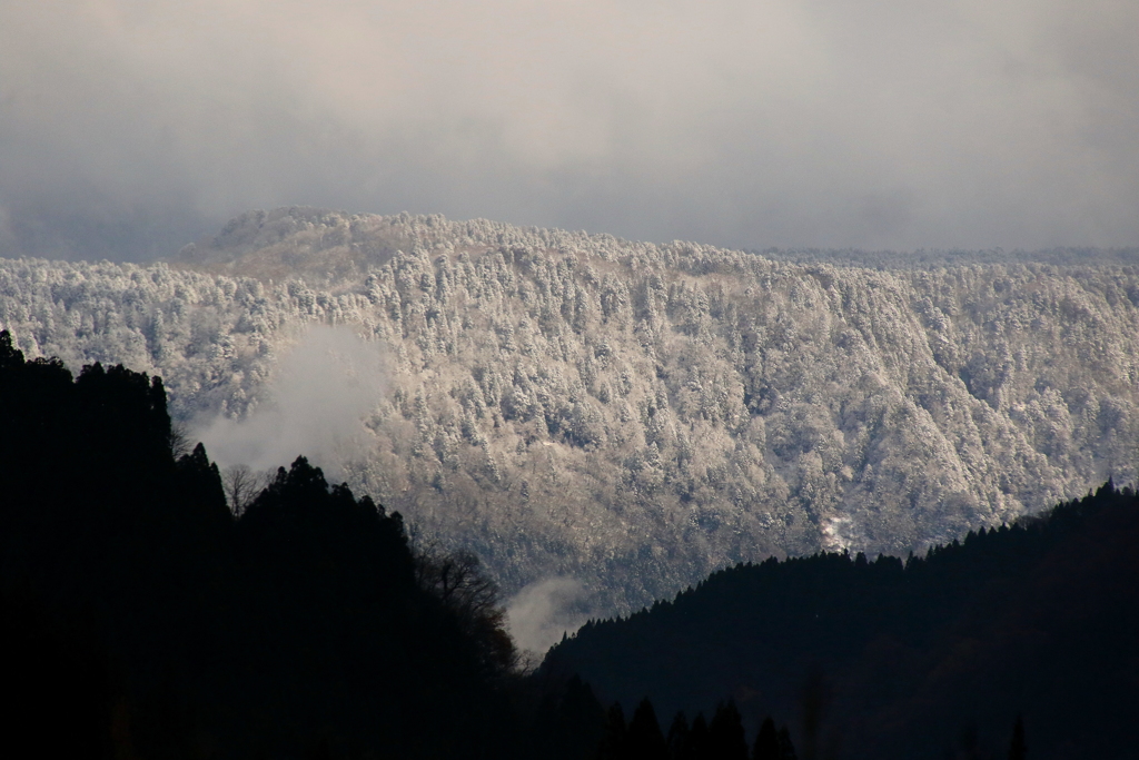 山