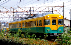 かぼちゃ君～♪
