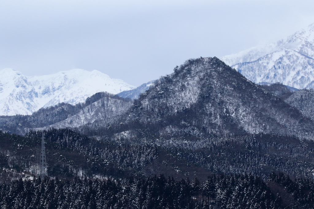 山