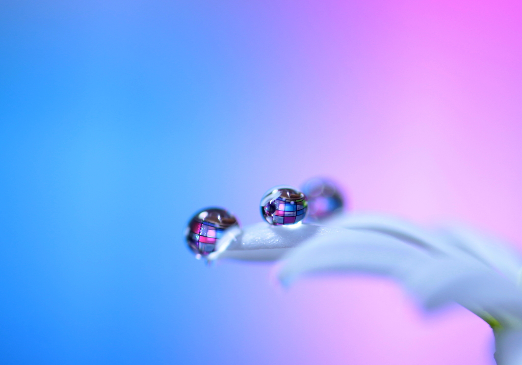心海ＤＲＯＰＳ・・・ファンタジー3
