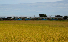 秋模様～あいの風鉄道♪