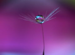 my　エブリスイング～♪　