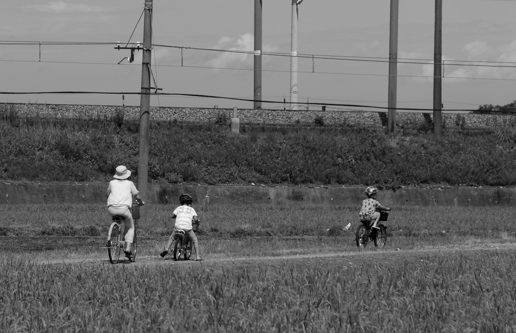 親子の夏休み