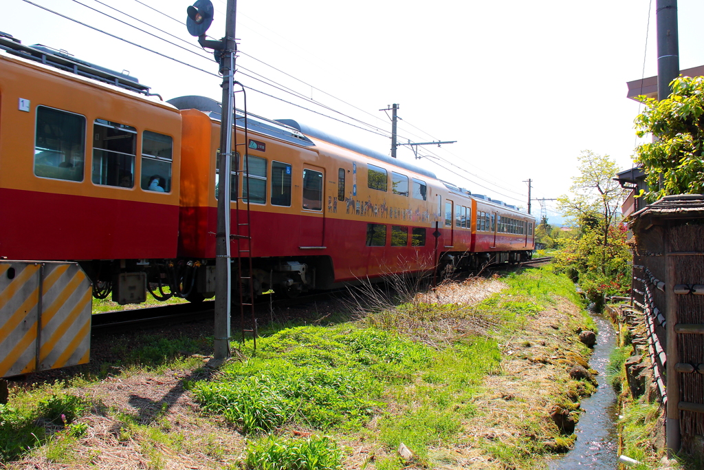 デッカー君と小川のせせらぎ