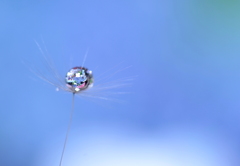 雲の上って青空なんだぁ～