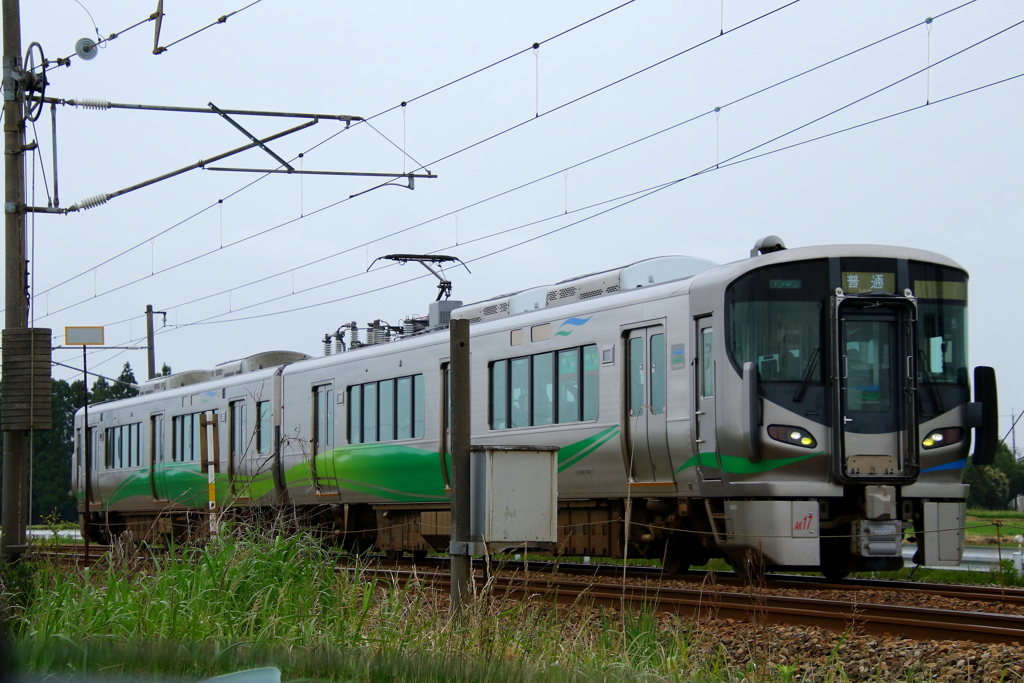 おいらも撮ってくれ～♪