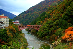 紅葉前線・・・トロッコ列車が行く~♪