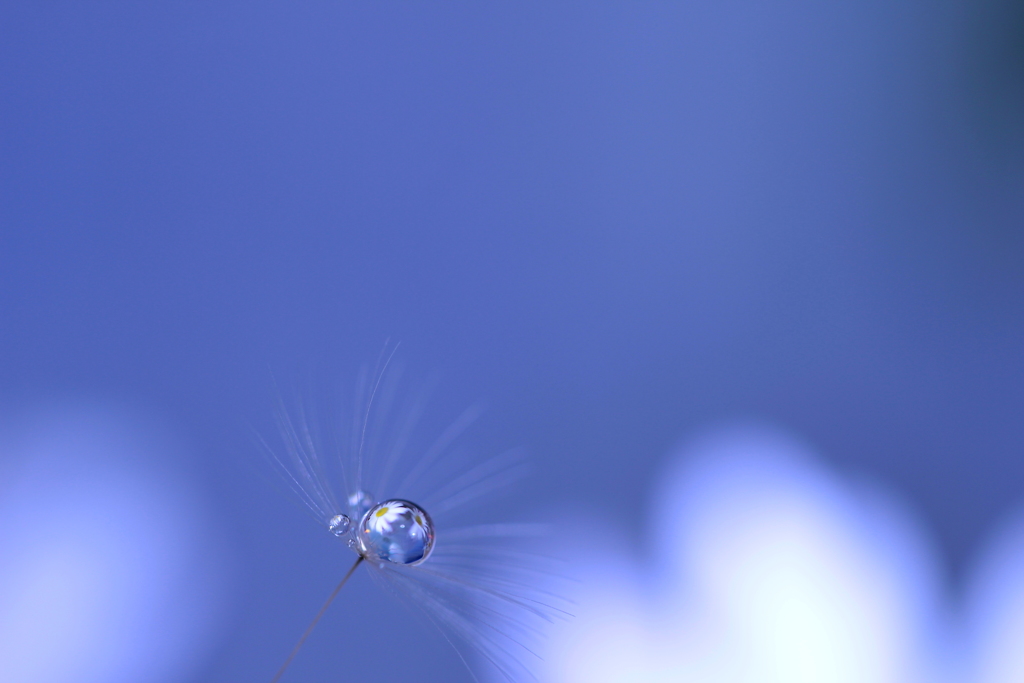 空はひとつ