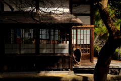 小春日和