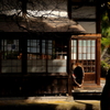 小春日和