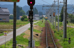 かぼちゃ君～♪待っていたよ！