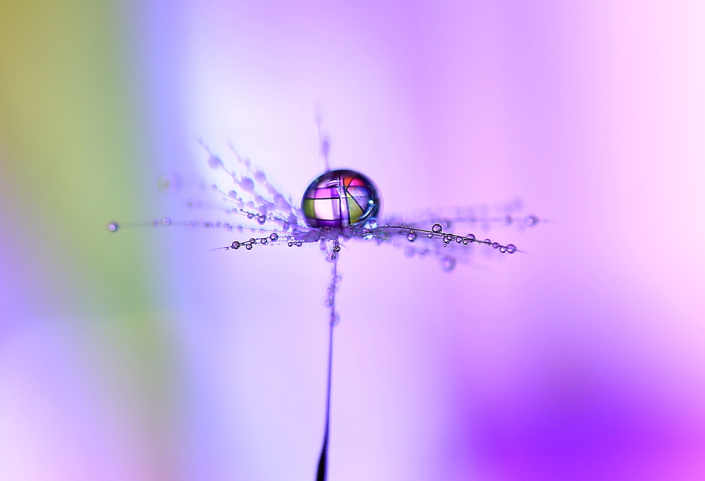 心海ｄｒｏｐｓ