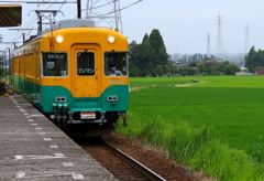 かぼちゃ君～きょう午前中に初蝉が鳴いたよ＾＾♪
