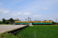 田園走る～♪かぼちゃ君