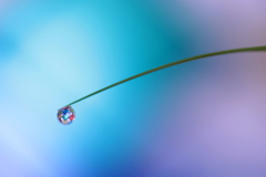 心海ＤＲＯＰＳ　66－1
