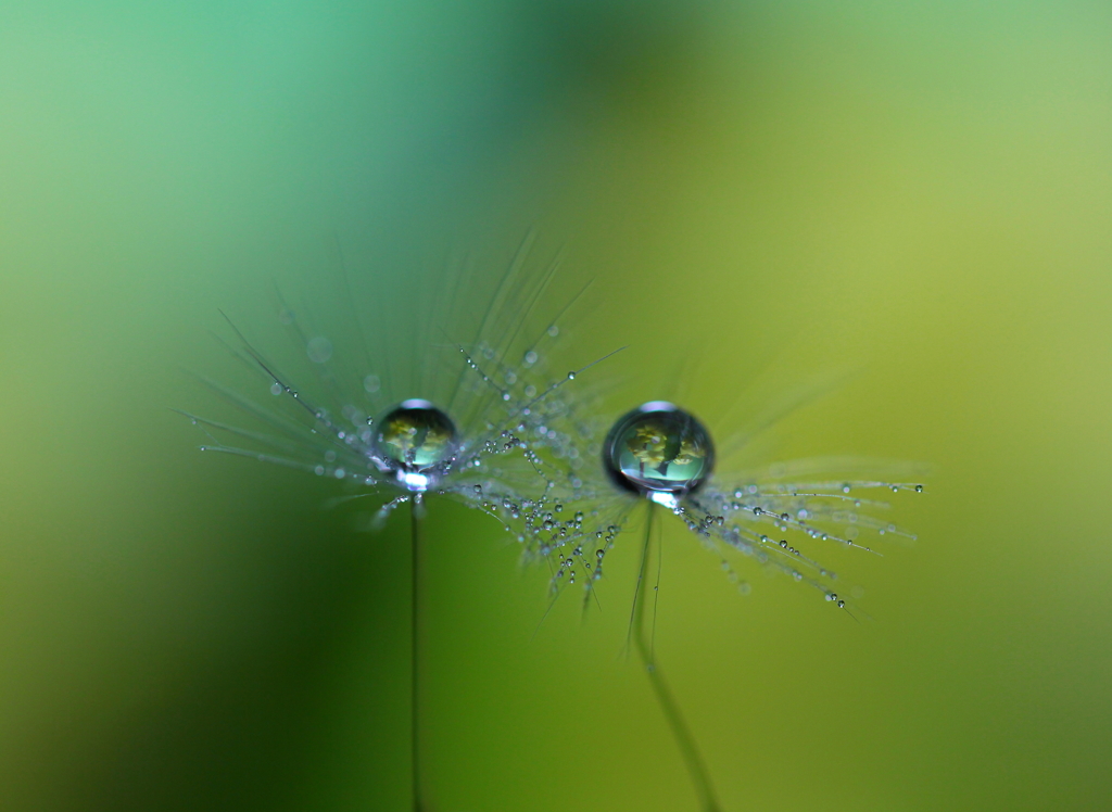 氷上のふたり