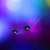 心海ｄｒｏｐｓ
