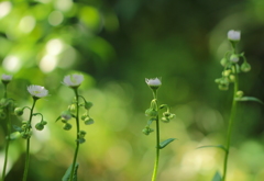 ダンスイング～踊りだす～♪
