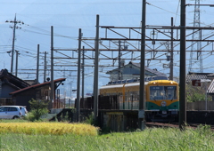 かぼちゃ電車君（僕の生きる道）1