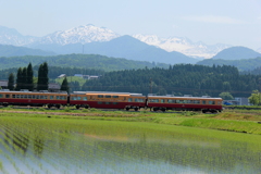 農村を走るダブルデッカー君