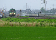 雨の日・・・