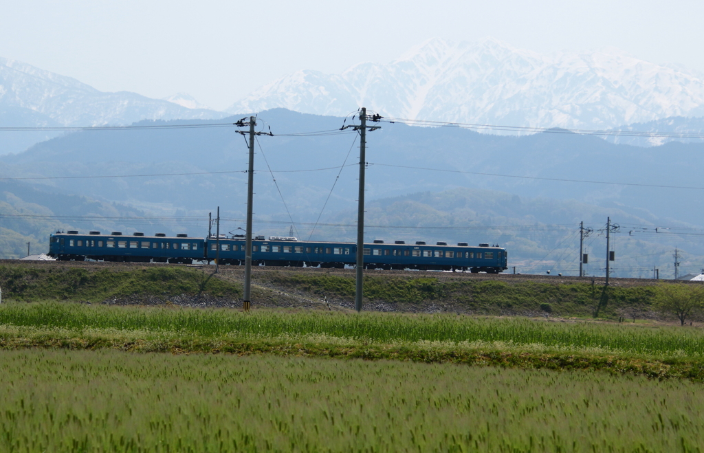 麦畑とあいの風とやま鉄道～♪