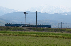 麦畑とあいの風とやま鉄道～♪