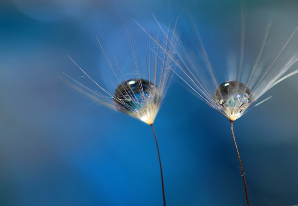 ラ・カンパネラ～♪