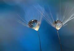 ラ・カンパネラ～♪