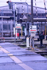 あいにくの雨