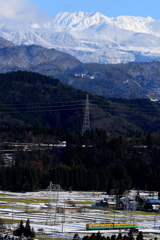 かぼちゃ電車がゆく