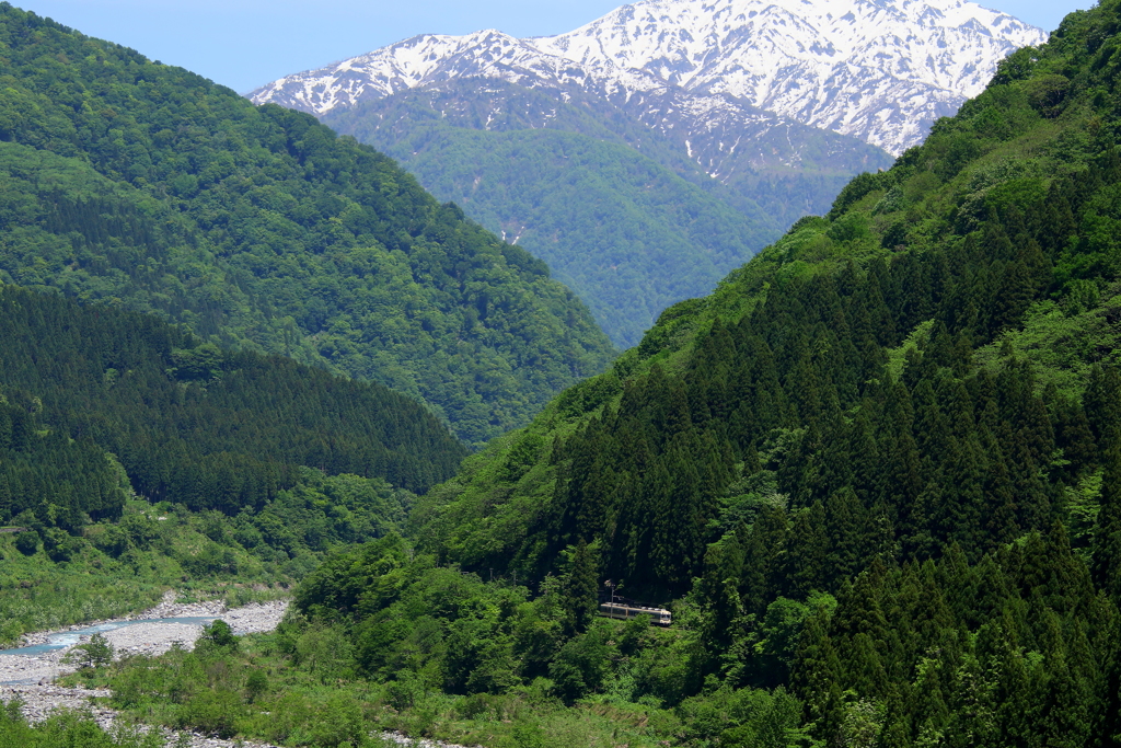 ひたすら走り続ける・・・