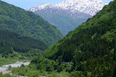 ひたすら走り続ける・・・