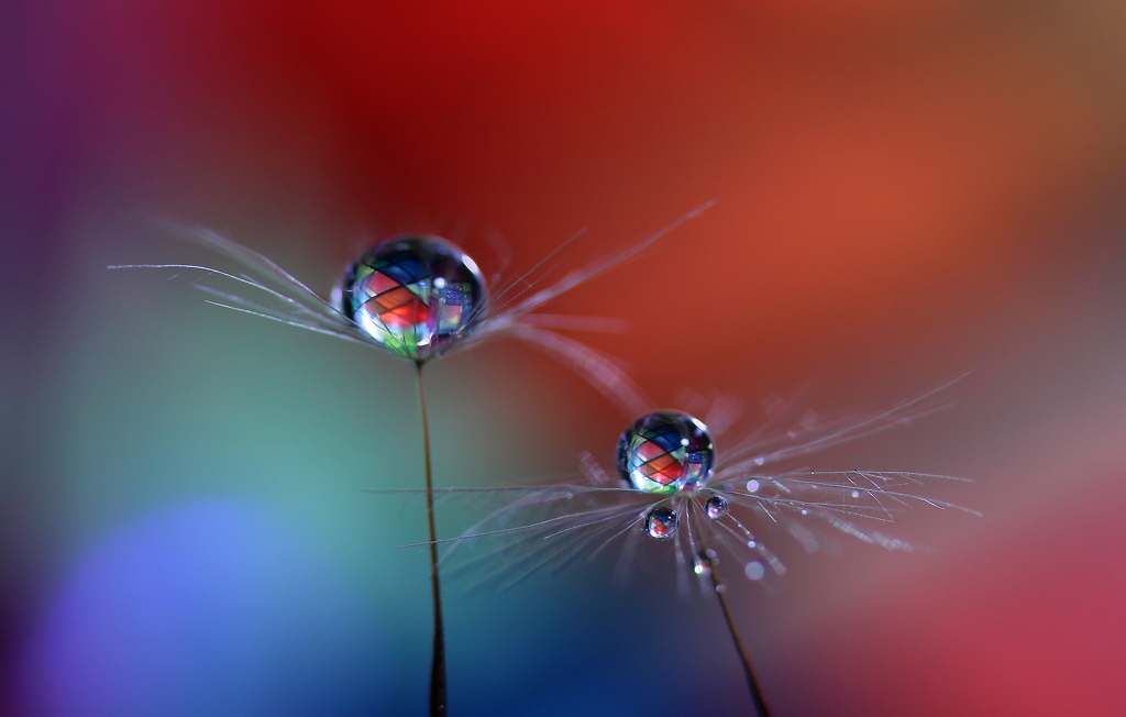 心海ｄｒｏｐｓ