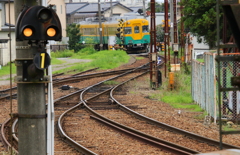 さあ～どっちへ・・・