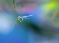 春の風～