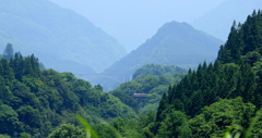 ステン君～♪　山を走る～