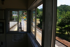 来たよ！来た来た