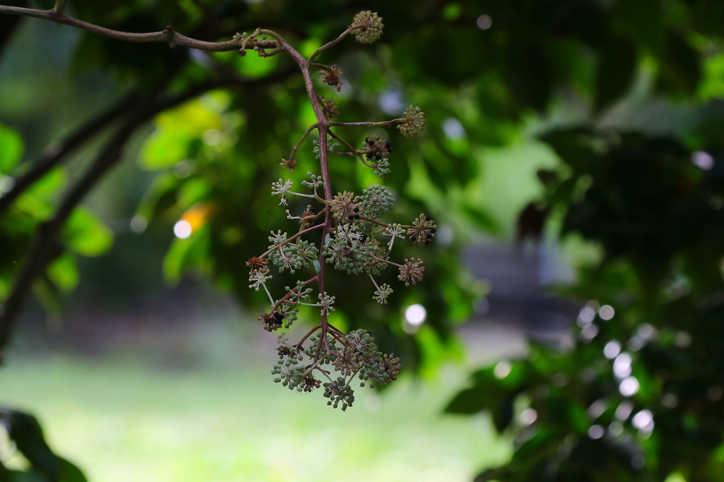 なんていうなまえかな？