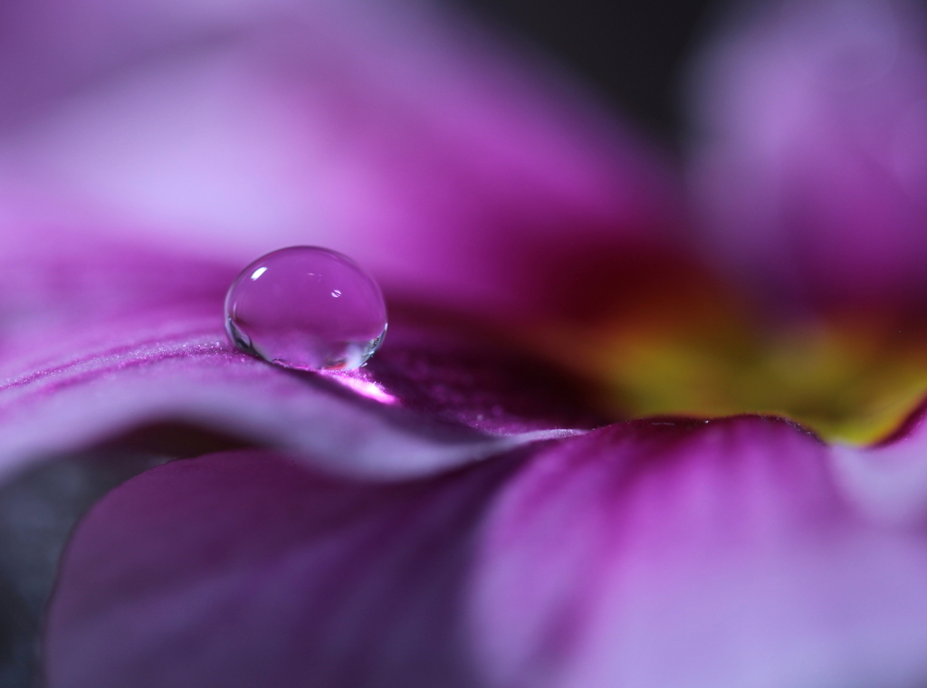 心海ＤＲＯＰＳ 3